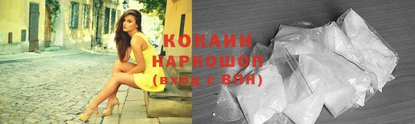 ешки Арсеньев