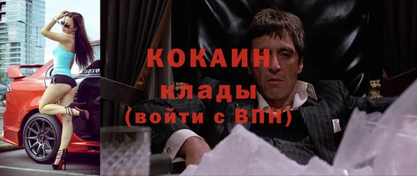 прущие грибы Алексин