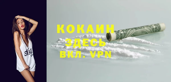 ешки Арсеньев