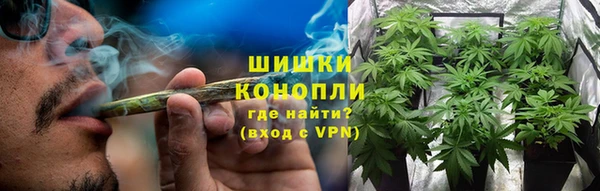ешки Арсеньев