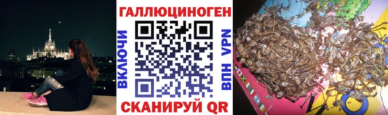 закладки Полысаево Псилоцибиновые грибы MAGIC MUSHROOMS